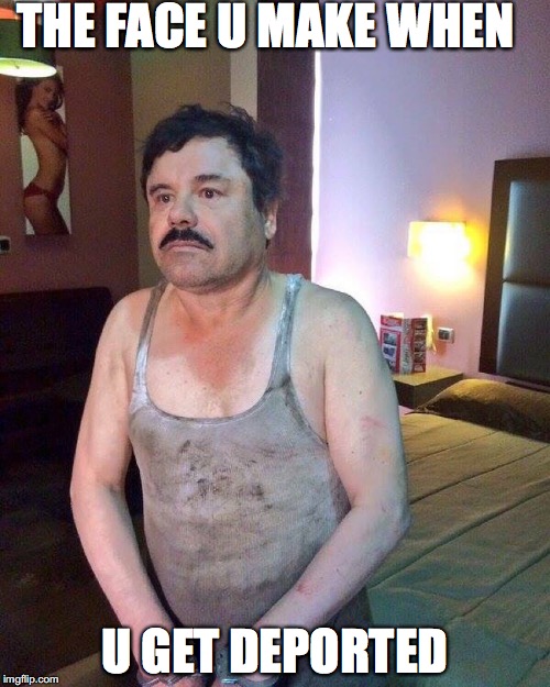 El Chapo lol | THE FACE U MAKE WHEN; U GET DEPORTED | image tagged in el chapo lol | made w/ Imgflip meme maker