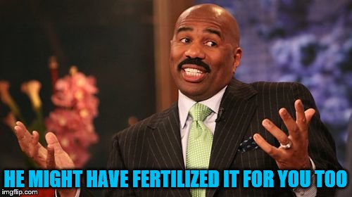 Steve Harvey Meme | HE MIGHT HAVE FERTILIZED IT FOR YOU TOO | image tagged in memes,steve harvey | made w/ Imgflip meme maker