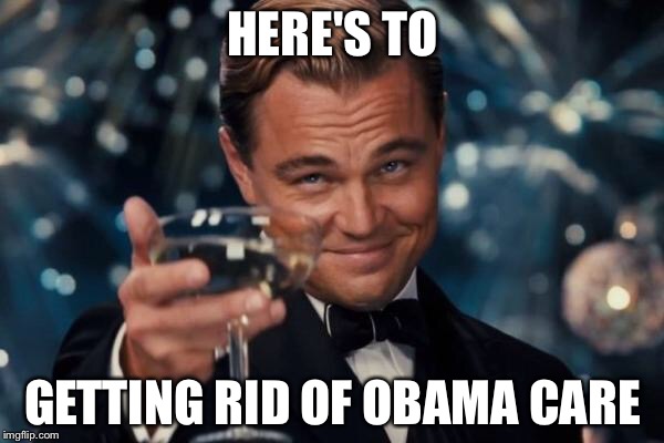 Leonardo Dicaprio Cheers Meme | HERE'S TO; GETTING RID OF OBAMA CARE | image tagged in memes,leonardo dicaprio cheers | made w/ Imgflip meme maker