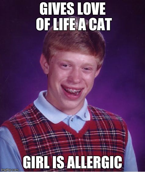 Bad Luck Brian | GIVES LOVE OF LIFE A CAT; GIRL IS ALLERGIC | image tagged in memes,bad luck brian | made w/ Imgflip meme maker