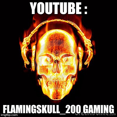 YOUTUBE :; FLAMINGSKULL_200 GAMING | image tagged in funny | made w/ Imgflip meme maker