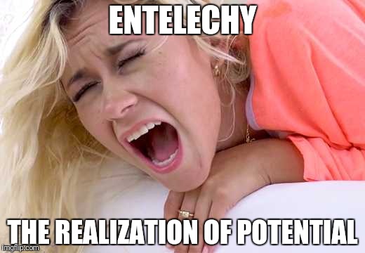 Explaining Entelechy | ENTELECHY; THE REALIZATION OF POTENTIAL | image tagged in screaming girlfriend,memes,funny | made w/ Imgflip meme maker