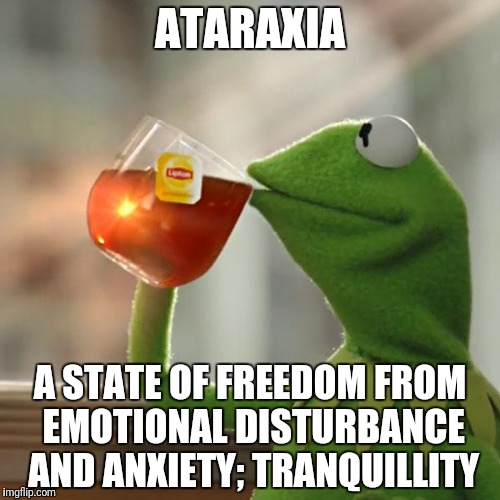 Ataraxia | ATARAXIA; A STATE OF FREEDOM FROM EMOTIONAL DISTURBANCE AND ANXIETY; TRANQUILLITY | image tagged in memes,but thats none of my business,kermit the frog,funny | made w/ Imgflip meme maker