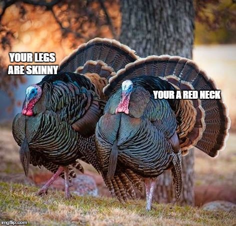 giving each other the bird | YOUR LEGS ARE SKINNY; YOUR A RED NECK | image tagged in friends turkey | made w/ Imgflip meme maker