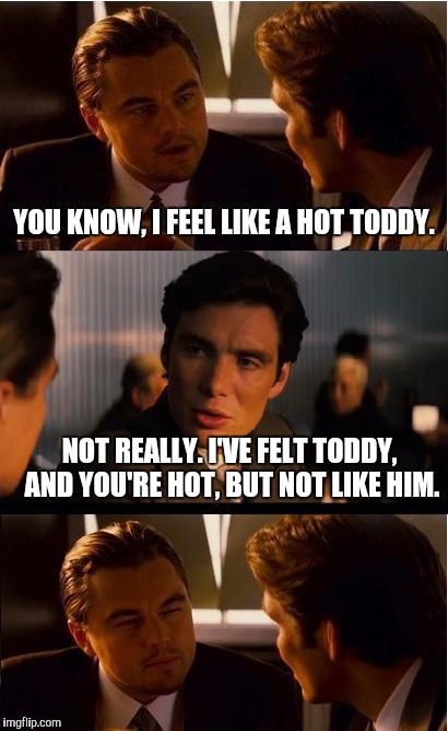 Inception Meme | YOU KNOW, I FEEL LIKE A HOT TODDY. NOT REALLY. I'VE FELT TODDY, AND YOU'RE HOT, BUT NOT LIKE HIM. | image tagged in memes,inception | made w/ Imgflip meme maker