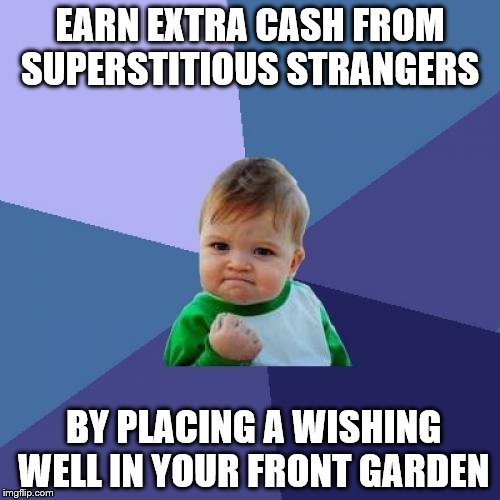 Success Kid | EARN EXTRA CASH FROM SUPERSTITIOUS STRANGERS; BY PLACING A WISHING WELL IN YOUR FRONT GARDEN | image tagged in memes,success kid | made w/ Imgflip meme maker