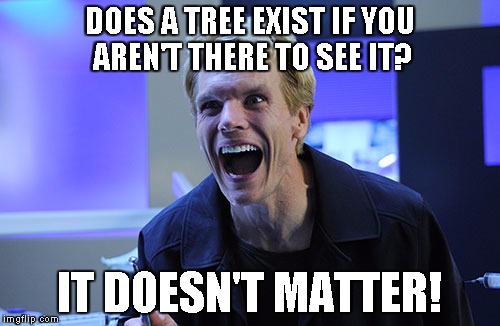 Bullet in the face | DOES A TREE EXIST IF YOU AREN'T THERE TO SEE IT? IT DOESN'T MATTER! | image tagged in bullet in the face | made w/ Imgflip meme maker