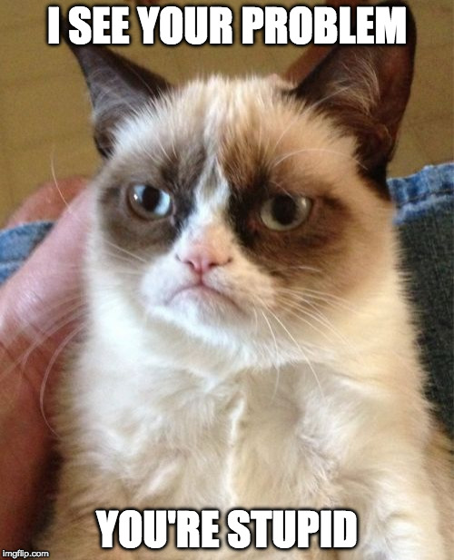 Grumpy Cat Meme | I SEE YOUR PROBLEM; YOU'RE STUPID | image tagged in memes,grumpy cat | made w/ Imgflip meme maker