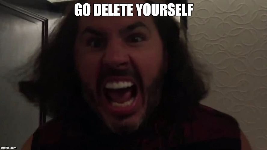 Matt Hardy delete | GO DELETE YOURSELF | image tagged in matt hardy delete | made w/ Imgflip meme maker