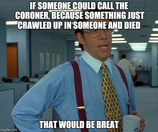 Call the coroner! | IF SOMEONE COULD CALL THE CORONER, BECAUSE SOMETHING JUST CRAWLED UP IN SOMEONE AND DIED; THAT WOULD BE BREAT | image tagged in memes,that would be great | made w/ Imgflip meme maker