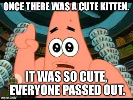 I think killing would be too far | ONCE THERE WAS A CUTE KITTEN. IT WAS SO CUTE, EVERYONE PASSED OUT. | image tagged in memes,patrick says,cats | made w/ Imgflip meme maker