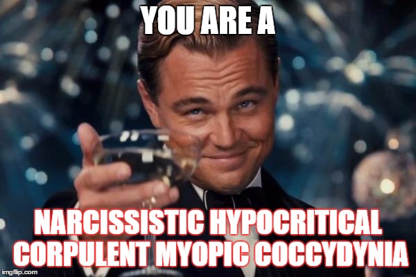 How to roast a dumb person! | YOU ARE A; NARCISSISTIC HYPOCRITICAL CORPULENT MYOPIC COCCYDYNIA | image tagged in memes,leonardo dicaprio cheers | made w/ Imgflip meme maker