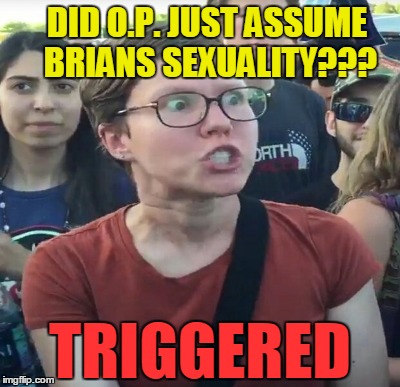 DID O.P. JUST ASSUME BRIANS SEXUALITY??? TRIGGERED | made w/ Imgflip meme maker