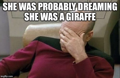 Captain Picard Facepalm Meme | SHE WAS PROBABLY DREAMING SHE WAS A GIRAFFE | image tagged in memes,captain picard facepalm | made w/ Imgflip meme maker