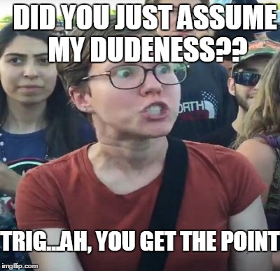 DID YOU JUST ASSUME MY DUDENESS?? TRIG...AH, YOU GET THE POINT | made w/ Imgflip meme maker