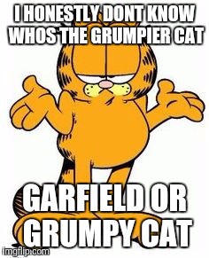 Garfield shrug | I HONESTLY DONT KNOW WHOS THE GRUMPIER CAT; GARFIELD OR GRUMPY CAT | image tagged in garfield shrug | made w/ Imgflip meme maker