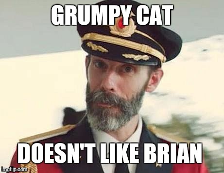 Captain Obvious | GRUMPY CAT DOESN'T LIKE BRIAN | image tagged in captain obvious | made w/ Imgflip meme maker