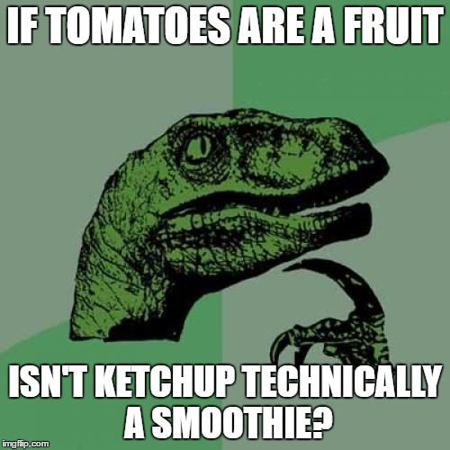 Philosoraptor | IF TOMATOES ARE A FRUIT; ISN'T KETCHUP TECHNICALLY A SMOOTHIE? | image tagged in memes,philosoraptor | made w/ Imgflip meme maker
