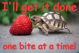 I'll get it done one bite at a time! | image tagged in cute turtle | made w/ Imgflip meme maker