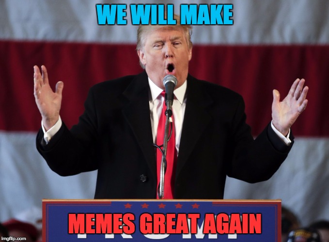 Make memes great again | WE WILL MAKE; MEMES GREAT AGAIN | image tagged in make america great again | made w/ Imgflip meme maker