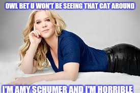 OWL BET U WON'T BE SEEING THAT CAT AROUND I'M AMY SCHUMER AND I'M HORRIBLE | made w/ Imgflip meme maker