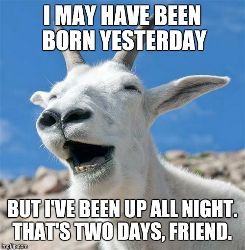 Laughing Goat Meme | I MAY HAVE BEEN BORN YESTERDAY; BUT I'VE BEEN UP ALL NIGHT. THAT'S TWO DAYS, FRIEND. | image tagged in memes,laughing goat | made w/ Imgflip meme maker