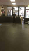 Workout 2 | image tagged in gifs,tkd | made w/ Imgflip video-to-gif maker