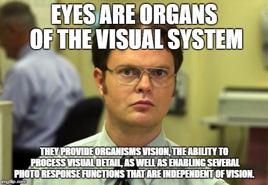 Dwight Schrute Meme | EYES ARE ORGANS OF THE VISUAL SYSTEM; THEY PROVIDE ORGANISMS VISION, THE ABILITY TO PROCESS VISUAL DETAIL, AS WELL AS ENABLING SEVERAL PHOTO RESPONSE FUNCTIONS THAT ARE INDEPENDENT OF VISION. | image tagged in memes,dwight schrute | made w/ Imgflip meme maker