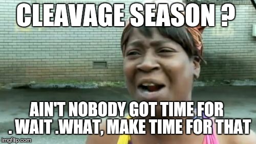 Ain't Nobody Got Time For That Meme | CLEAVAGE SEASON ? AIN'T NOBODY GOT TIME FOR  . WAIT .WHAT, MAKE TIME FOR THAT | image tagged in memes,aint nobody got time for that | made w/ Imgflip meme maker