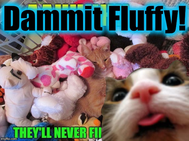 Dammit Fluffy! | made w/ Imgflip meme maker