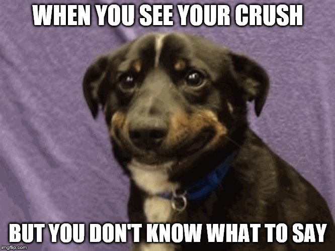 LOL | WHEN YOU SEE YOUR CRUSH; BUT YOU DON'T KNOW WHAT TO SAY | image tagged in memes | made w/ Imgflip meme maker