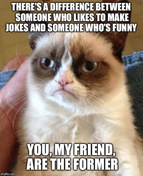 Grumpy Cat Meme | THERE'S A DIFFERENCE BETWEEN SOMEONE WHO LIKES TO MAKE JOKES AND SOMEONE WHO'S FUNNY; YOU, MY FRIEND, ARE THE FORMER | image tagged in memes,grumpy cat | made w/ Imgflip meme maker