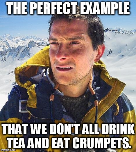 Bear Grylls | THE PERFECT EXAMPLE; THAT WE DON'T ALL DRINK TEA AND EAT CRUMPETS. | image tagged in memes,bear grylls | made w/ Imgflip meme maker