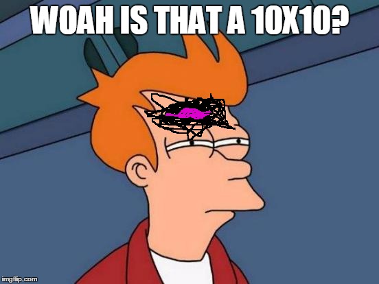 Futurama Fry | WOAH IS THAT A 10X10? | image tagged in memes,futurama fry | made w/ Imgflip meme maker