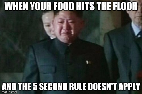 Kim Jong Un Sad | WHEN YOUR FOOD HITS THE FLOOR; AND THE 5 SECOND RULE DOESN'T APPLY | image tagged in memes,kim jong un sad | made w/ Imgflip meme maker