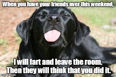 Tongue | When you have your friends over this weekend, I will fart and leave the room. Then they will think that you did it. | image tagged in tongue | made w/ Imgflip meme maker