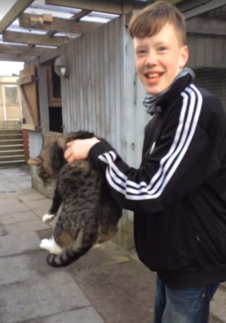 Autisme Blank Meme Template