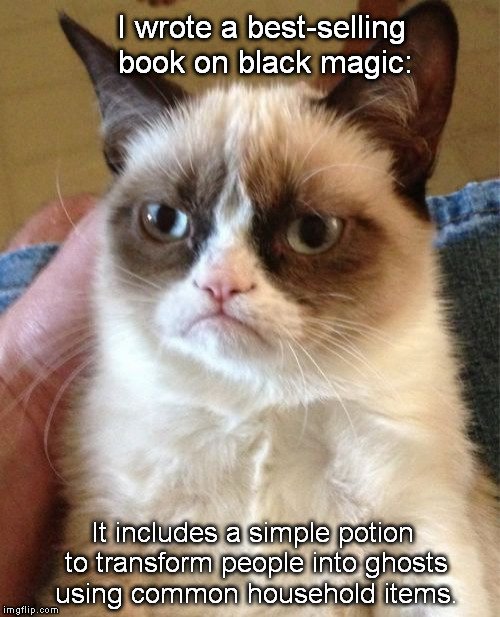 Grumpy Cat Meme | I wrote a best-selling book on black magic:; It includes a simple potion to transform people into ghosts using common household items. | image tagged in memes,grumpy cat | made w/ Imgflip meme maker