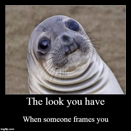 Extra! Awkward seal framed!!! | image tagged in funny,demotivationals | made w/ Imgflip demotivational maker