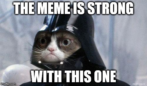 Grumpy Cat Star Wars Meme | THE MEME IS STRONG; WITH THIS ONE | image tagged in memes,grumpy cat star wars,grumpy cat | made w/ Imgflip meme maker