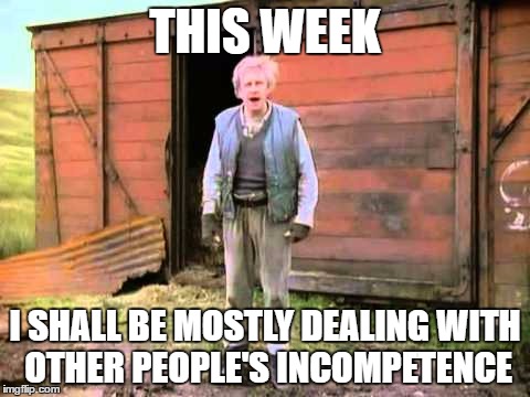 THIS WEEK; I SHALL BE MOSTLY DEALING
WITH OTHER PEOPLE'S INCOMPETENCE | image tagged in fast show,comedy,british tv | made w/ Imgflip meme maker