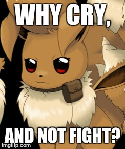 WHY CRY, AND NOT FIGHT? | made w/ Imgflip meme maker