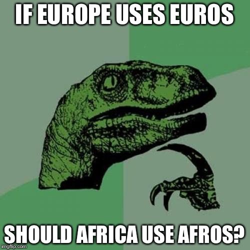 Philosoraptor | IF EUROPE USES EUROS; SHOULD AFRICA USE AFROS? | image tagged in memes,philosoraptor | made w/ Imgflip meme maker