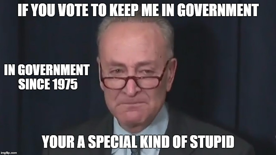 Schumer Pussy | IF YOU VOTE TO KEEP ME IN GOVERNMENT; IN GOVERNMENT SINCE 1975; YOUR A SPECIAL KIND OF STUPID | image tagged in schumer pussy | made w/ Imgflip meme maker