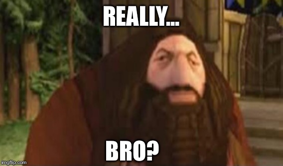 Hagrid | REALLY... BRO? | image tagged in funny,memes | made w/ Imgflip meme maker