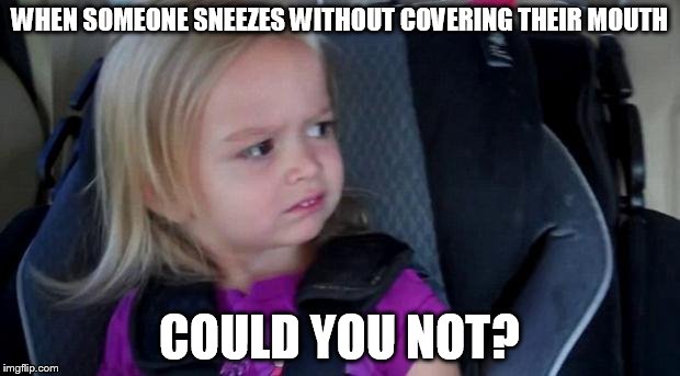 could you not? | WHEN SOMEONE SNEEZES WITHOUT COVERING THEIR MOUTH; COULD YOU NOT? | image tagged in could you not | made w/ Imgflip meme maker