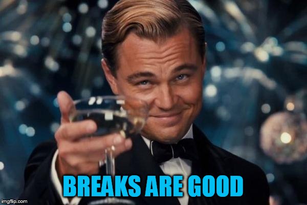 Leonardo Dicaprio Cheers Meme | BREAKS ARE GOOD | image tagged in memes,leonardo dicaprio cheers | made w/ Imgflip meme maker