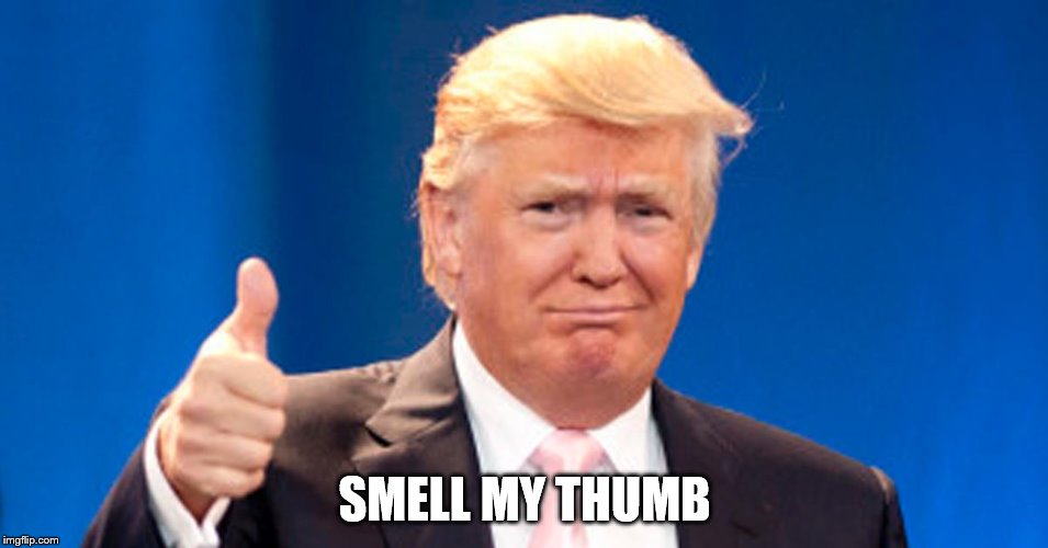 SMELL MY THUMB | image tagged in trump thumb up | made w/ Imgflip meme maker