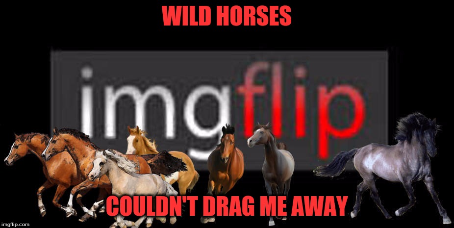 Not Enough Horsepower | WILD HORSES; COULDN'T DRAG ME AWAY | image tagged in memes,imgflipper,custom template | made w/ Imgflip meme maker