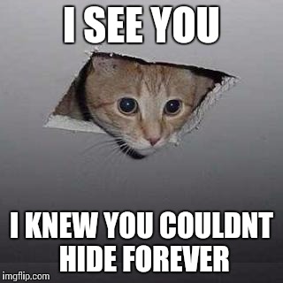 Ceiling Cat | I SEE YOU; I KNEW YOU COULDNT HIDE FOREVER | image tagged in memes,ceiling cat | made w/ Imgflip meme maker